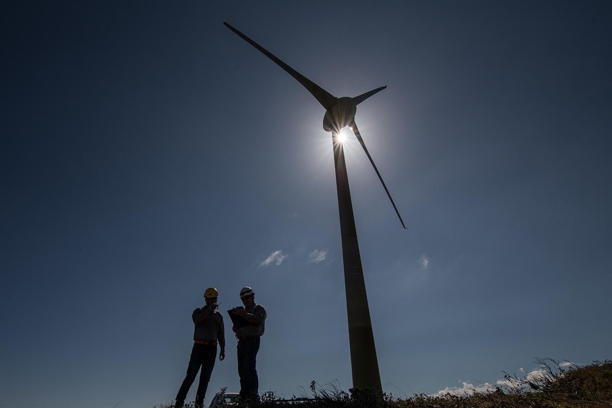 Nuevos proyectos eólicos de Celsia aportarán el 18% de la electricidad adjudicada en la subasta de energías renovables