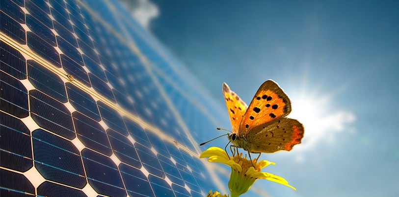 Quiz: te ponemos a prueba ¿qué tanto sabes de energía solar?.