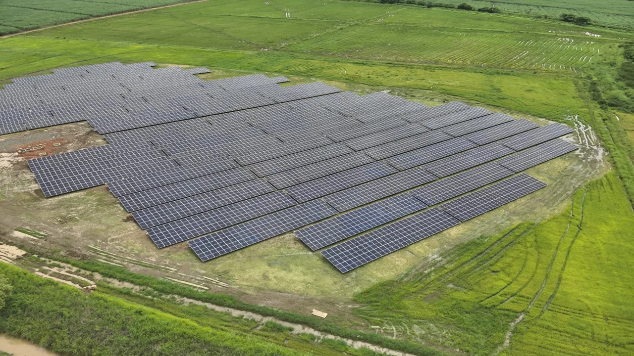 Celsia inaugura en Panamá granja solar de 3,8 MW para Calesa, el grupo agroindustrial más grande del país