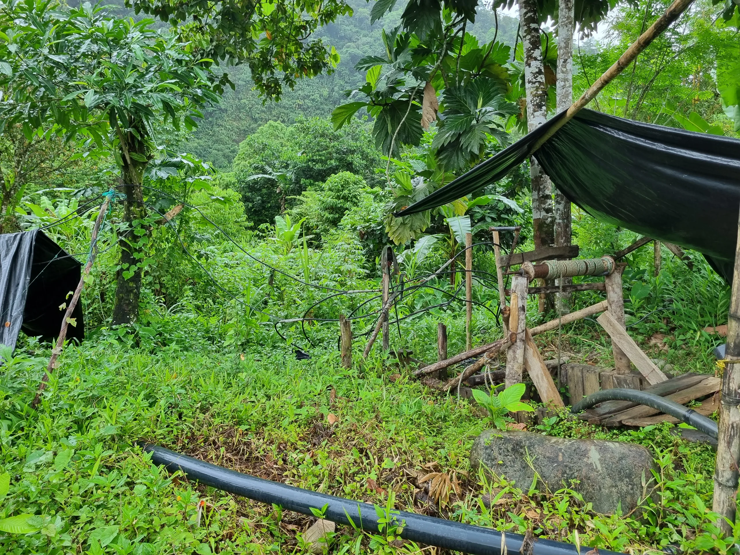 Conexiones irregulares de la minería ilegal continúan afectando la calidad del servicio de energía en zona rural de Buenaventura