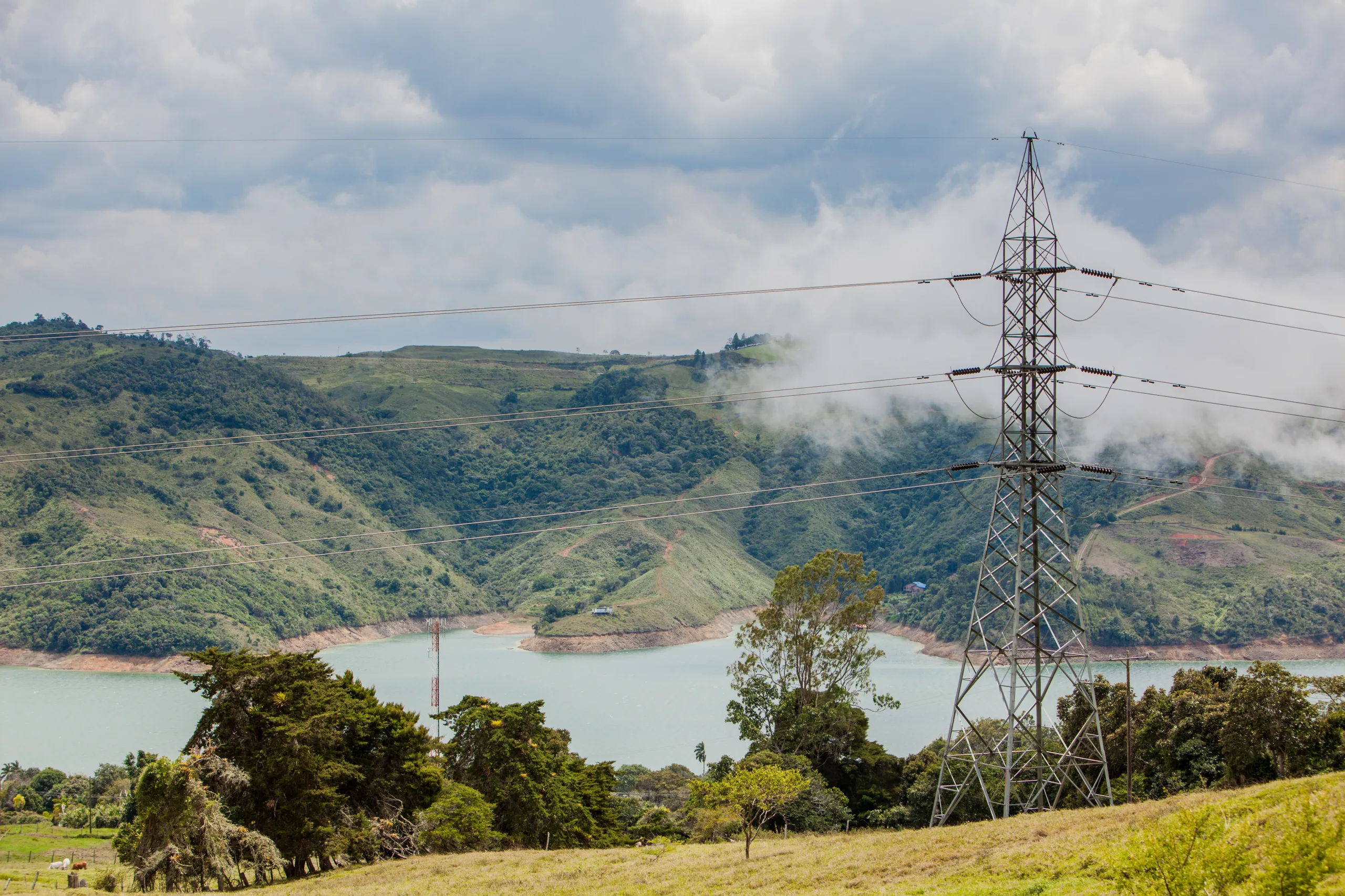 Convocatoria pública de compra de energía para el mercado regulado